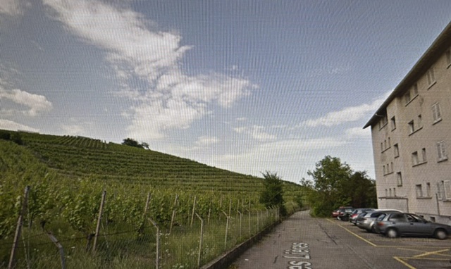 Vue vignes