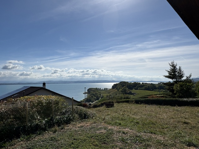 Vue I