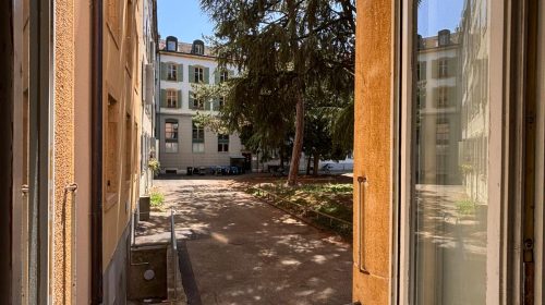 Vue cour